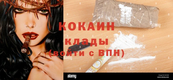 гашик Алзамай