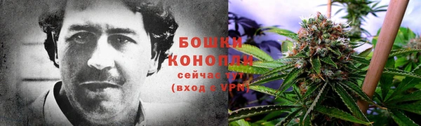 гашик Алзамай