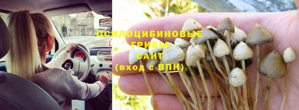 прущие крисы Алексеевка